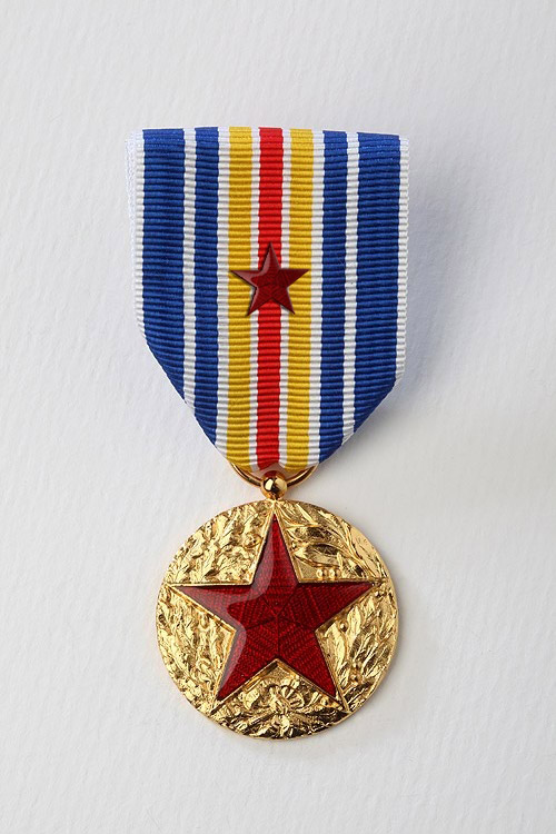 Médaille des blessés militaires